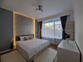 CSV Home